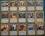 Teshar, Ancestors Apostle - Artifact Combo EDH Deck (Custom 100 Card Commander Deck)